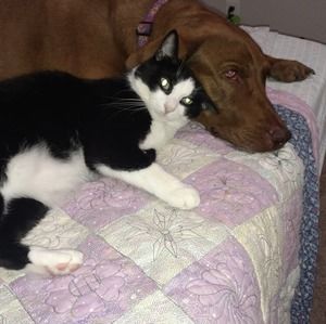 Meet your Posher, Janet